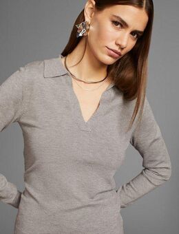 HECHTER PARIS Polokragenpullover mit elegantem V-Ausschnitt