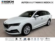 Skoda Octavia, 1.5 Combi E Style, Jahr 2023 - Ahrensfelde