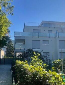 Exklusiver Neubau mit 5 Wohneinheiten in Toplage Freiburg-Wiehre. - Freiburg (Breisgau)