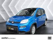 Fiat Panda, Pandina 3 Sitz hinten, Jahr 2024 - Bietigheim-Bissingen