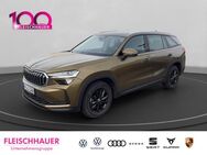 Skoda Kodiaq, 2.0 TDI Selection Licht und Sicht-Paket Plus, Jahr 2024 - Bad Kreuznach