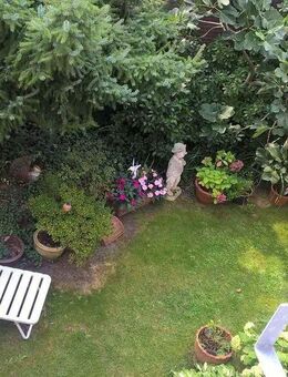 Hochwertiges PENTHOUSE mit 40 qm Süd-Dach-Terrasse, Einbau-Küche und -Schänken, Parkett - Krefeld