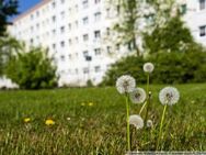 Hier wird für Sie saniert! Ab März 2025 - Halle (Saale)