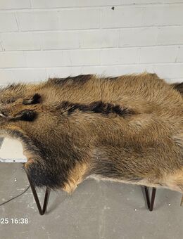 Wildschweindecke / Fell gegerbt - Düsseldorf