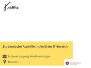 Studentische Aushilfe (m/w/d) im IT-Bereich - Münster