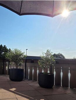 "SONNIGE AUSSICHTEN" - Mühlacker