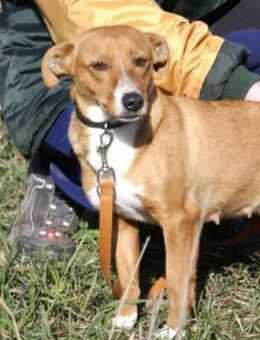 Cecilia ist so lieb und offen! - Karben