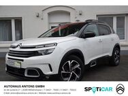 Citroen C5 Aircross PureTech 130 Feel (EURO 6d-TEMP) - Wilhelmshaven