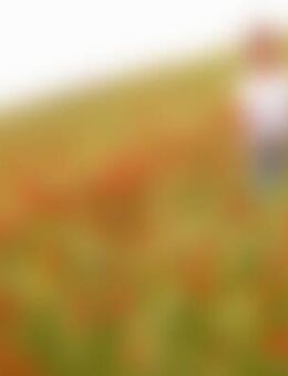 Kla*** - Brackenheim