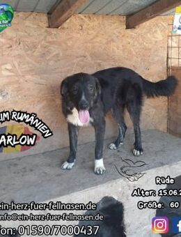 MARLOW-Spaß,Abenteuer, Liebe, Liebe... - Waakirchen