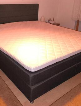 Boxspringbett grau 180 x 200 - wie neu - Hofheim (Taunus)