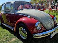 Oldtimer sucht neue Halterin - Neumünster