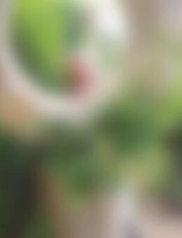 Zwo*** - Kempten (Allgäu)