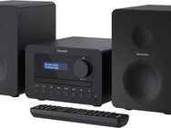 Sharp Audio-System XL-B520D(BK) (40 W, A2DP Bluetooth, AVRCP Bluetooth, Bluetooth)