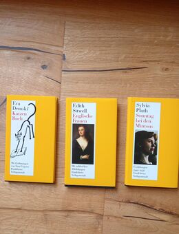 Sonntag bei den Mintons. Gebundene Ausgabe v. 1992, Frankfurter Verlagsanstalt, Sylvia Plath (Autorin) - Rosenheim