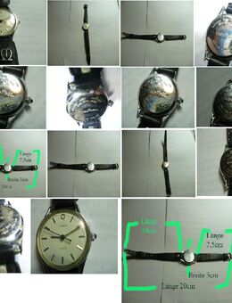 Timex Quartz Damenuhr Nr.6 - Lichtenau (Nordrhein-Westfalen)