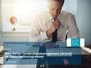 Mitarbeiter Forderungsmanagement (m/w/d) im Team Rechnungswesen - Lülsfeld