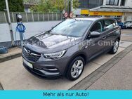 Opel Grandland X Edition Plug-in-Hybrid - Aichwald