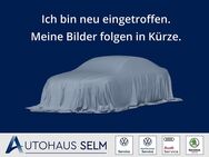 VW Polo, 1.0 VI Digitales, Jahr 2024 - Selm