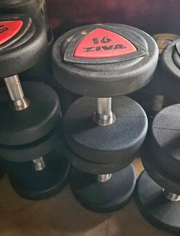 Kurzhantel Set 2-20kg (2kg-Schritte) / Paarweise / Top Zustand - Ergoldsbach
