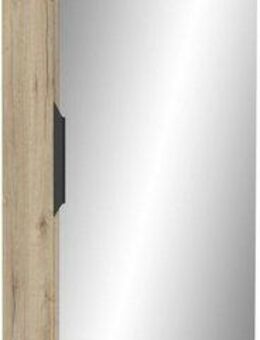 Demeyere GROUP Schuhschrank Zapatero (1-St) SCHUHSCHRANK 1 TUER/1 SPIEGEL