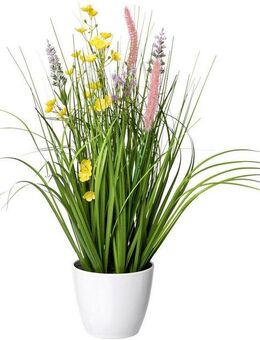 Kunstgras Blüten-Gras-Mix, Creativ green, Höhe 46 cm, in weißer Kunststoffschale