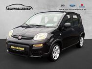 Fiat Panda, 1.0 Base Mild Hybrid Berganfahrass teilb Rücksb, Jahr 2024 - Bremerhaven