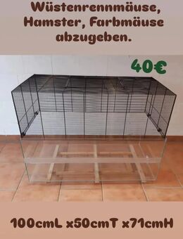 Nagerkäfig von Serengeti - Münster
