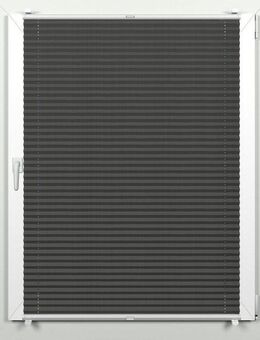 indeko Plissee simple, Lichtschutz, ohne Bohren, verspannt, Klemmfix, mit Klemmträgern, nach Maß