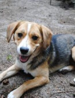 Emma sucht aktive Menschen - Berlin