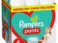 Pampers Pants Windeln Größe 6 14-19 kg 132 Stk. - Ingolstadt