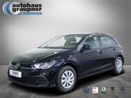 VW Polo, 1.0 TSI Life, Jahr 2024 - Brandis