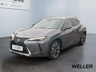 Lexus UX 250h, Luxury Line °, Jahr 2021 - Leipzig Alt-West