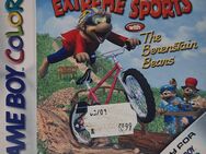 Extreme Sports with The Berenstain Bears TDK Nintendo Game Boy Color GBC GBA SP - Bad Salzuflen Werl-Aspe