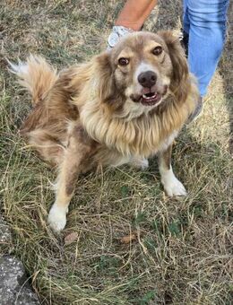 PATCH hofft auf ein Wunder ♥️ - München