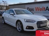 Audi A5, Sportback TDI quattro, Jahr 2018 - Kamenz