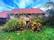 Schnuckeliges Häuschen mit Scheune und viel Potenzial im idyllisch gelegenen Waldbrunn - Waldbrunn (Baden-Württemberg)