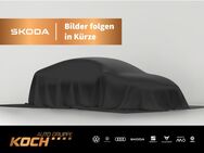 Skoda Kodiaq, 2.0 TDI Sportline PANODACH, Jahr 2022 - Schwäbisch Hall