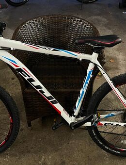 Fuji Mountainbike | Fahrrad Top Zustand. - Holzminden