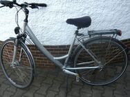 Damen Fahrrad Hercules Shimano Schaltung 27 Zoll 48 Rahmengröße - Amberg