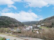 Panorama, Sonne und Freisicht, geben Ihnen hier hoch über dem Neckartal ein neues Wohlfühlzuhause! - Epfendorf