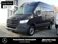 Mercedes Sprinter, 317 L2H2, Jahr 2023 - Heide