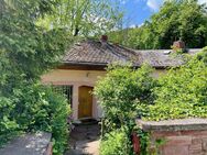 Architektenhaus nahe Neustadt auf herrlichem 2.800 qm Grundstück im Naturpark Pfälzerwald - Frankeneck