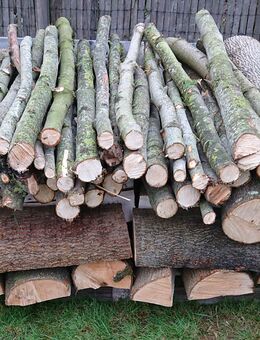 Brennholz Kaminholz Feuerholz 0,5 Rm - Selfkant