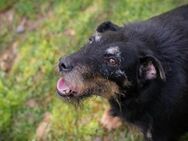 REENA - mit viel Disziplin vorankommen - Overath