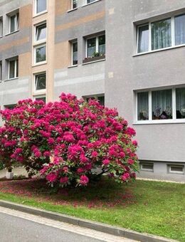 Hübsche Wohnung in ruhiger Seitenstraße - Hermsdorf