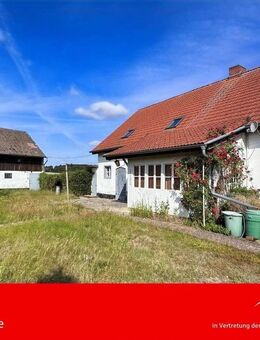 Ein Paradies zum Wohlfühlen! - Friedland (Brandenburg)