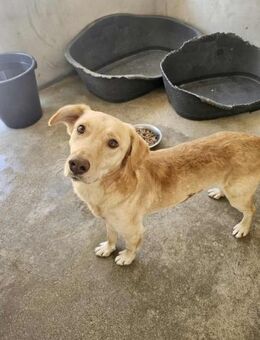 Bezaubernder Emil - Eichenzell