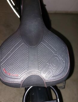 E-Bike Prophete Entdecker - Straubenhardt
