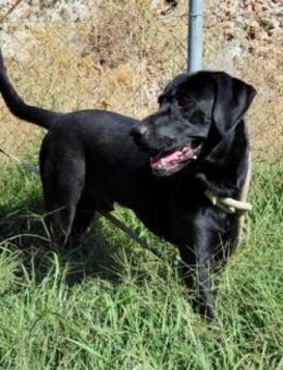 Berg - bildschön und liebenswert - Mettmann